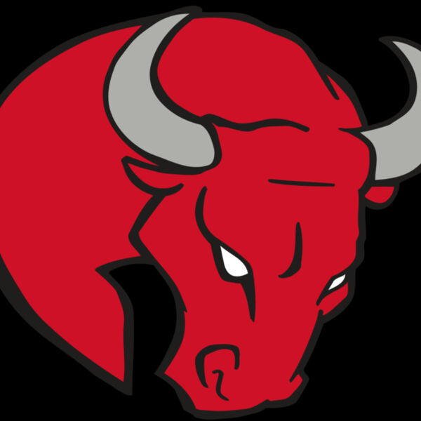 AR BULL 24 RC Thumbnail