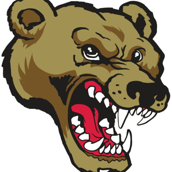 AR10 BEAR 01 RQC Thumbnail