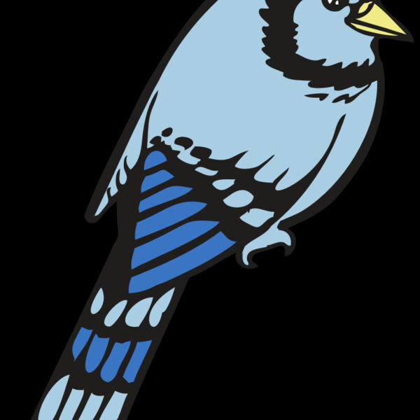 BAW BLUEJAY 08 RC Thumbnail