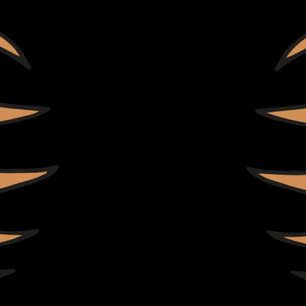 AR BEAR 05 RC Thumbnail