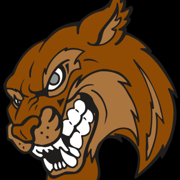 AR5 BOBCAT 07 RQC Thumbnail