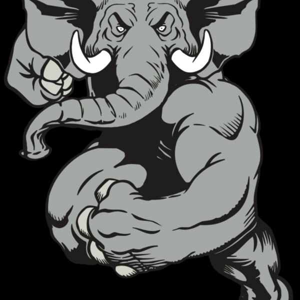 AR ELEPH 18 RC Thumbnail