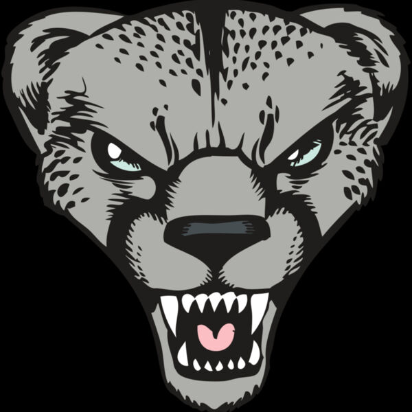 BAW CHEETAH 15 RC Thumbnail