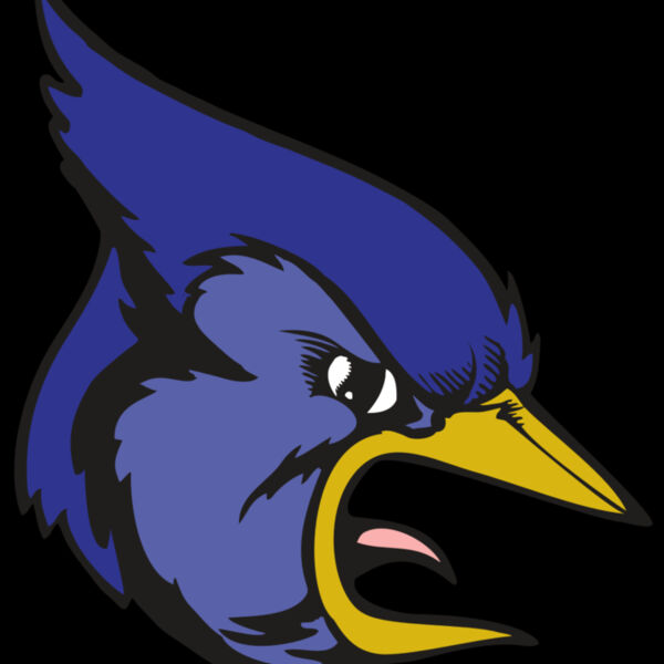 BAW BLUEJAY 04 RC Thumbnail