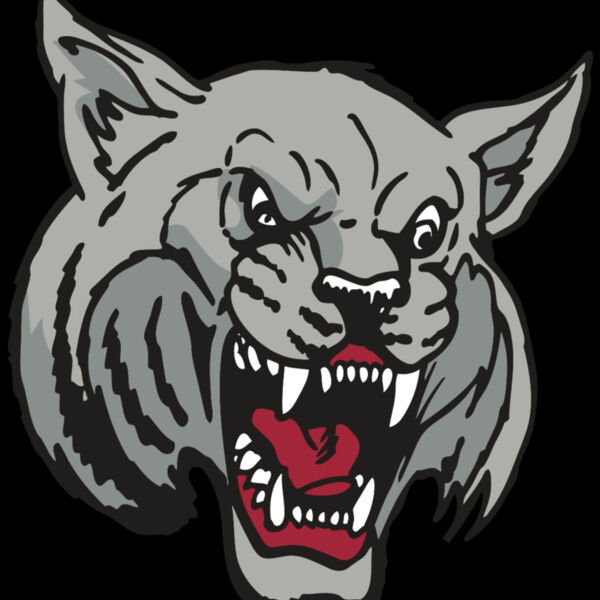 AR WILDCAT 42 RC Thumbnail