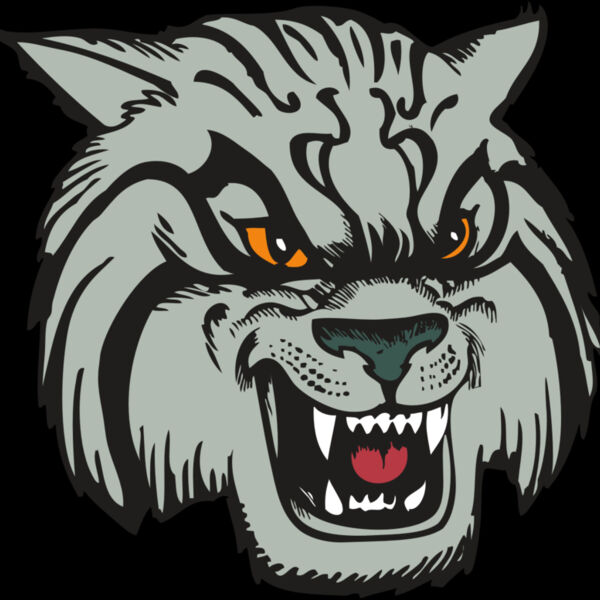 BAW WILDCAT 03 RC Thumbnail