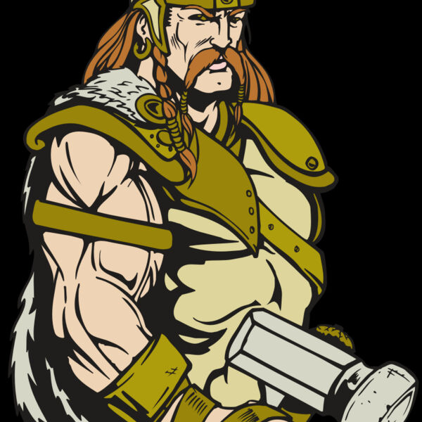 AR VIKING 38 RC Thumbnail