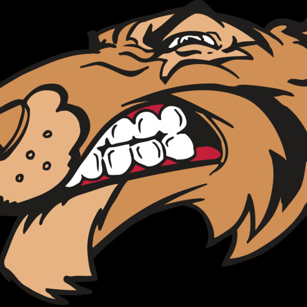 AR5 Tiger 13 RQC Thumbnail