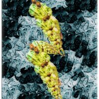 TPosur2016 Thumbnail