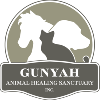 Gunyah Animal Healing Store Thumbnail